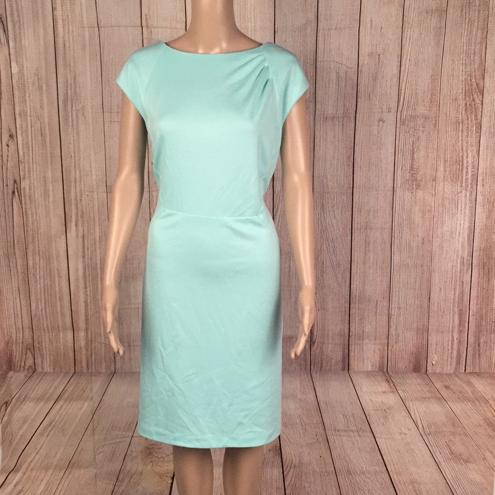NWT Limited Dress